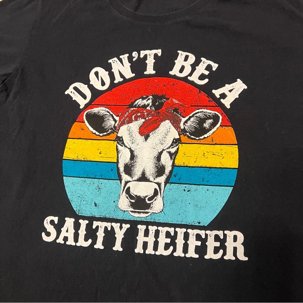 Don’t Be A Salty Heifer Women’s short sleeve Crew Neck tee shirt X-Large funny